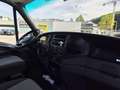 Iveco Daily 35C15 LADEBORDWAND Neues Pickerl Tausch möglich - thumbnail 10