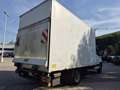 Iveco Daily 35C15 LADEBORDWAND Neues Pickerl Tausch möglich - thumbnail 11