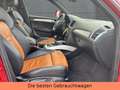 Audi Q5 2.0 TFSI  quattro-30 Jahre quattro-exclusive Rot - thumbnail 15