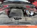 Audi Q5 2.0 TFSI  quattro-30 Jahre quattro-exclusive Rot - thumbnail 24