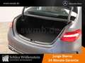 Mercedes-Benz C 220 d AMG/LED/AHK/Fahrass+/RfCam/Spiegel-P/EDW Grau - thumbnail 12