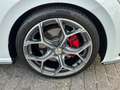 Volkswagen Polo GTI 2 G 2.0 TSI DSG LED NAVI CARPLAYY Wit - thumbnail 31