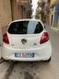 Ford Ka/Ka+ Ka 1.3 tdci Titanium 75cv dpf Blanco - thumbnail 2