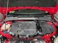 Ford Focus 1.6TDCi Trend 115 Rood - thumbnail 26