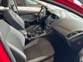 Ford Focus 1.6TDCi Trend 115 Rood - thumbnail 9