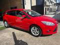 Ford Focus 1.6TDCi Trend 115 Rood - thumbnail 42