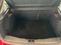 Ford Focus 1.6TDCi Trend 115 Rood - thumbnail 23
