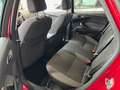 Ford Focus 1.6TDCi Trend 115 Rood - thumbnail 7