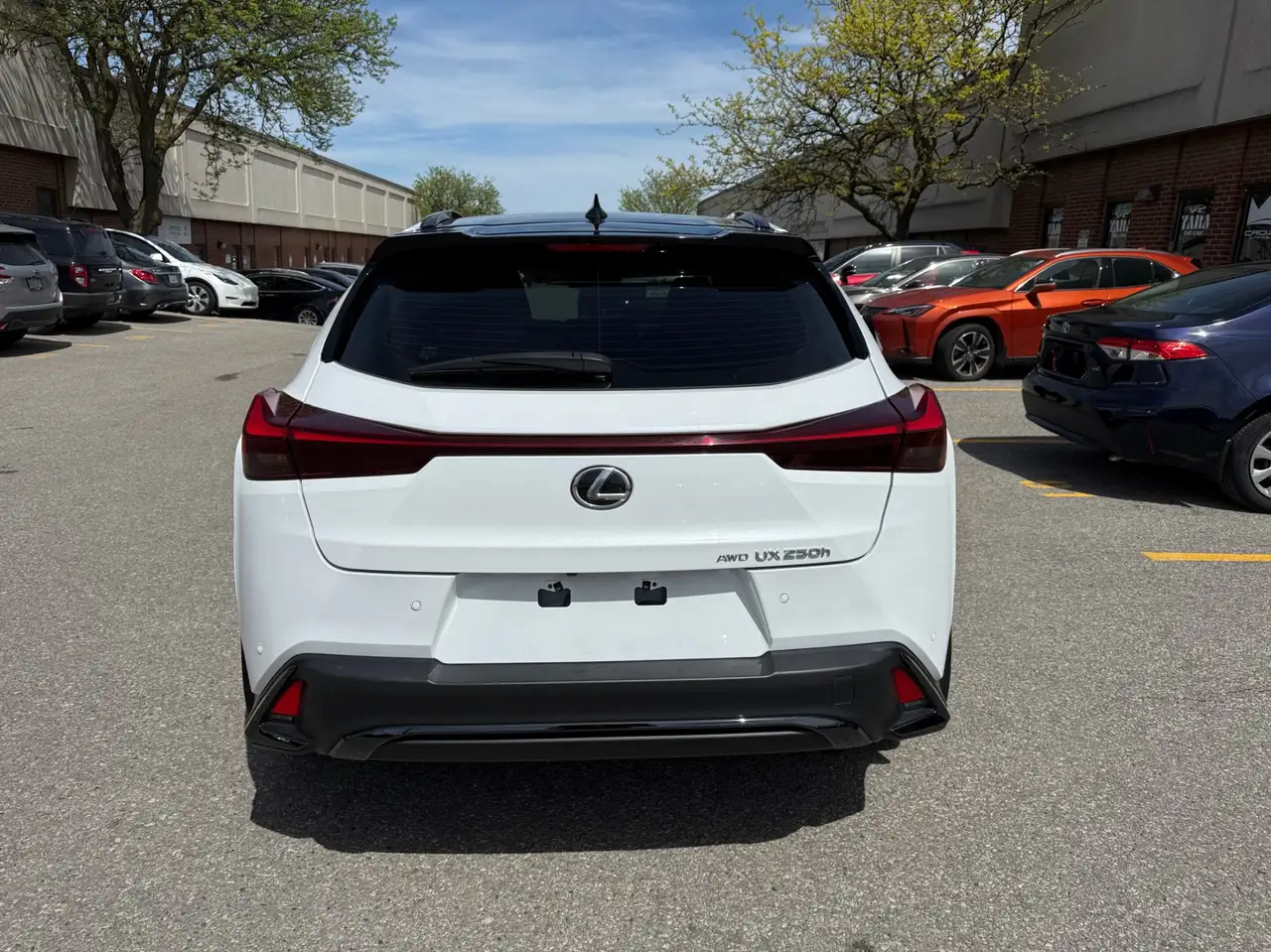 Lexus UX fotografie Lexus UX