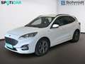 Ford Kuga 1,5 EcoBlue ST-Line Aut. Weiß - thumbnail 2