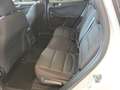 Ford Kuga 1,5 EcoBlue ST-Line Aut. Weiß - thumbnail 6