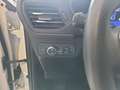Ford Kuga 1,5 EcoBlue ST-Line Aut. Weiß - thumbnail 13