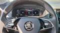Skoda Karoq 2.0 TDI 150 PS Tour 4x4/NAVI/KAM/beh.WS+LR Blau - thumbnail 8