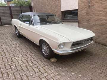 Mustang