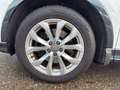 Audi Q3 40 TDI advanced quattro S-Tronic Weiß - thumbnail 13