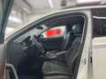 Skoda Superb Combi 2.0 TDI 4x4 Scout Final Edition *AHK*NAVI*KA Weiß - thumbnail 11