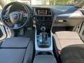 Audi Q5 2.0 tdi quattro 170cv E5 Bianco - thumbnail 5