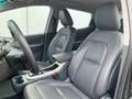 Opel Ampera-E Executive 60 kWh SOH 100% Hoge instap Business Grau - thumbnail 10