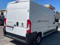 Fiat Ducato 35 LH2 2.3MJ FURGONE P.LUNGO TETTO ALTO 3 PTI-2020 Blanc - thumbnail 3
