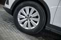 SEAT Arona 1.6 TDI 70kW 95CV Style Go Eco Bianco - thumbnail 14