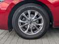 Mazda 2 G-90 6AT Exclusive Touring |Navi|Carplay|LED|Sitzh Rood - thumbnail 8