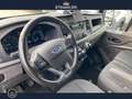 Ford Transit 290 2.0 tdci MHEV 130cv trend L2H2 E 6.2 Blauw - thumbnail 9
