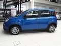Fiat New Panda 1.0 FireFly Hybrid Kék - thumbnail 3