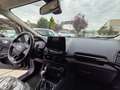Ford EcoSport 1.0 EcoBoost 125 CV Start&Stop ST-Line Gris - thumbnail 14