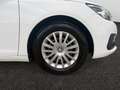 Peugeot 308 SW Access BlueHDI 75KW (100CV) Blanco - thumbnail 23