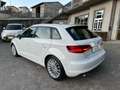 Audi A3 Sportback 2.0 tdi Ambiente Bianco - thumbnail 6