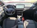 Ford Focus ST-Line X AUTO - 1.5 TDCI 115cv - Garantie 12 mois Фіолетовий - thumbnail 8