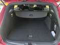 Ford Focus ST-Line X AUTO - 1.5 TDCI 115cv - Garantie 12 mois Фіолетовий - thumbnail 7