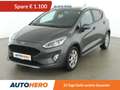 Ford Fiesta 1.0 EcoBoost Active Grau - thumbnail 1