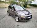 Fiat Panda Panda III 2019 1.2 Lounge easypower Gpl 69cv Grau - thumbnail 3