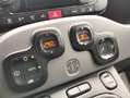 Fiat Panda Panda III 2019 1.2 Lounge easypower Gpl 69cv Grau - thumbnail 13