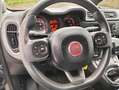 Fiat Panda Panda III 2019 1.2 Lounge easypower Gpl 69cv Grau - thumbnail 9