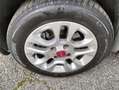 Fiat Panda Panda III 2019 1.2 Lounge easypower Gpl 69cv Grau - thumbnail 18