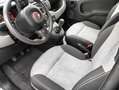 Fiat Panda Panda III 2019 1.2 Lounge easypower Gpl 69cv Grau - thumbnail 8
