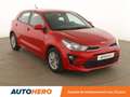 Kia 1.0 T-GDi Active BVM6 Rouge - thumbnail 8