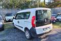 Fiat Doblo 1.6 MJT 16V 95CV Pop MINI AUTOVETTURA Blanc - thumbnail 6