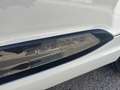 Audi Q7 Audi Q7 3.0 TDI 272 CV quattro tiptronic 7p sline Bianco - thumbnail 7