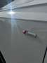 Audi Q7 Audi Q7 3.0 TDI 272 CV quattro tiptronic 7p sline Bianco - thumbnail 23