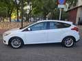 Ford Focus Sb. 1.6TDCi Trend+ 115 - thumbnail 3