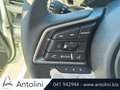 Subaru Crosstrek 2.0i e-Boxer MHEV CVT Style Xtra "PRONTA CONSEGNA" Grigio - thumbnail 14