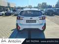 Subaru Crosstrek 2.0i e-Boxer MHEV CVT Style Xtra "PRONTA CONSEGNA" Grigio - thumbnail 7