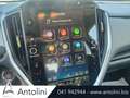 Subaru Crosstrek 2.0i e-Boxer MHEV CVT Style Xtra "PRONTA CONSEGNA" Grigio - thumbnail 10