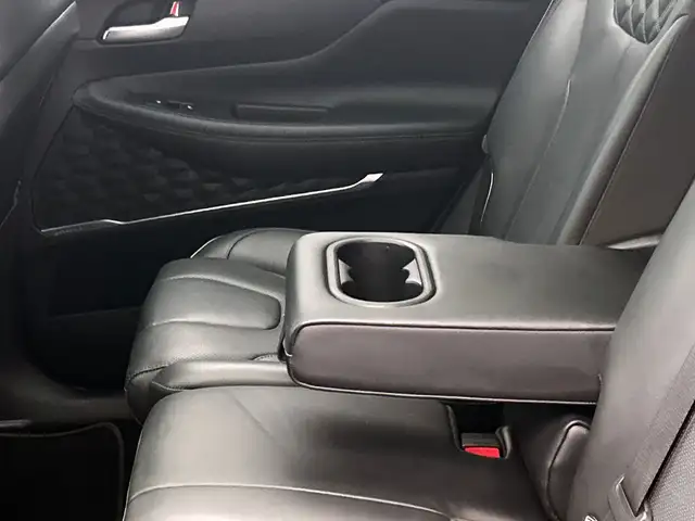 Hyundai Santa FE view 20