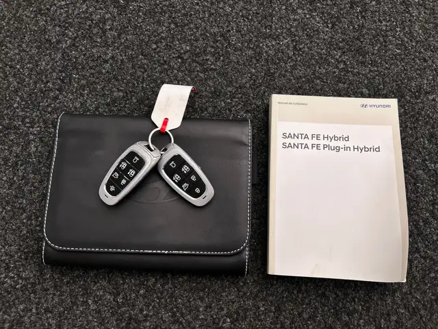 Hyundai Santa FE view 7