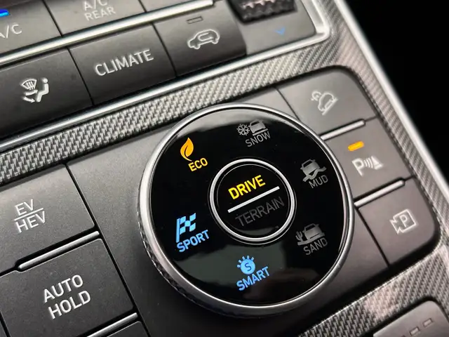 Hyundai Santa FE view 25