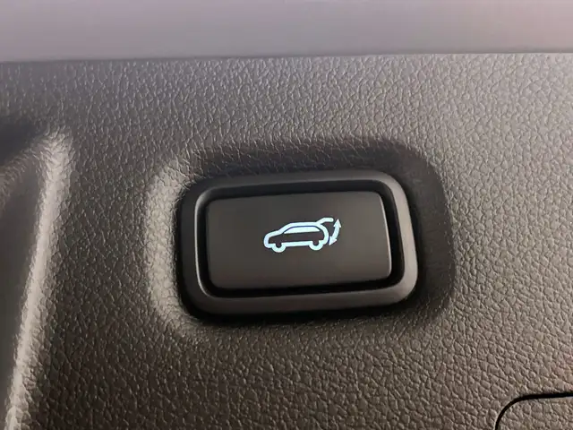 Hyundai Santa FE view 9